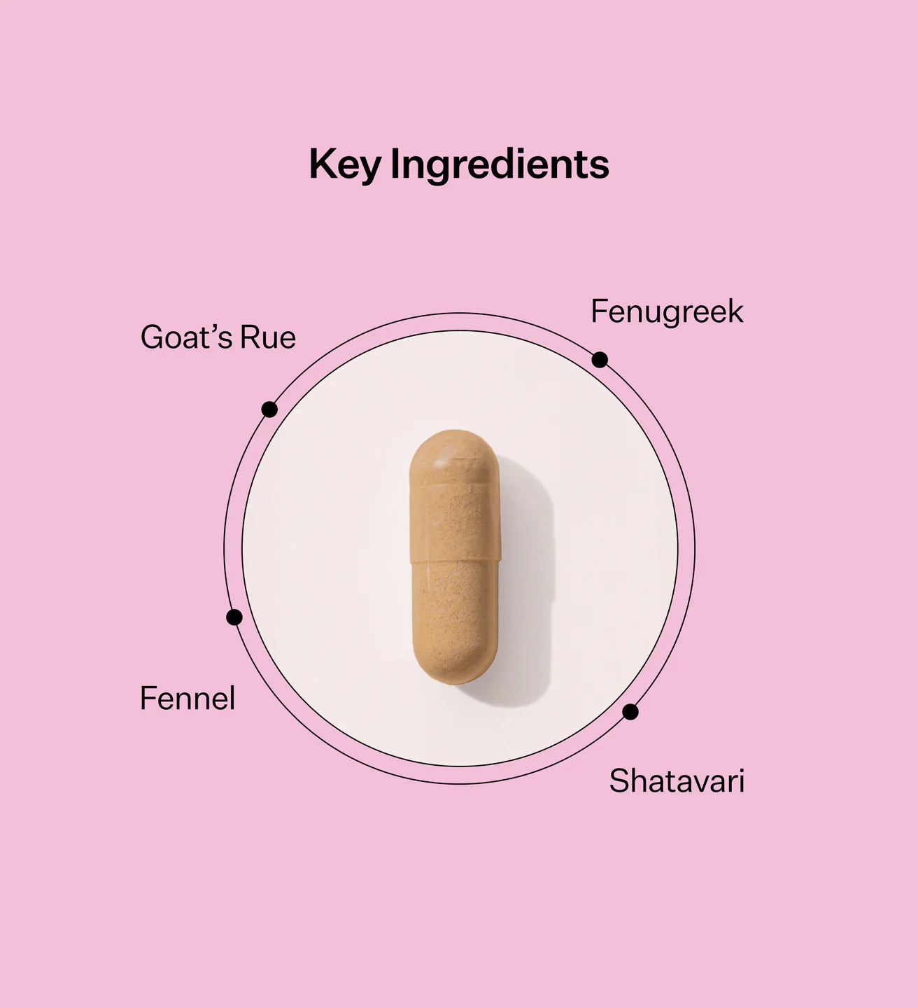 Milk Maker | Two Islands Co