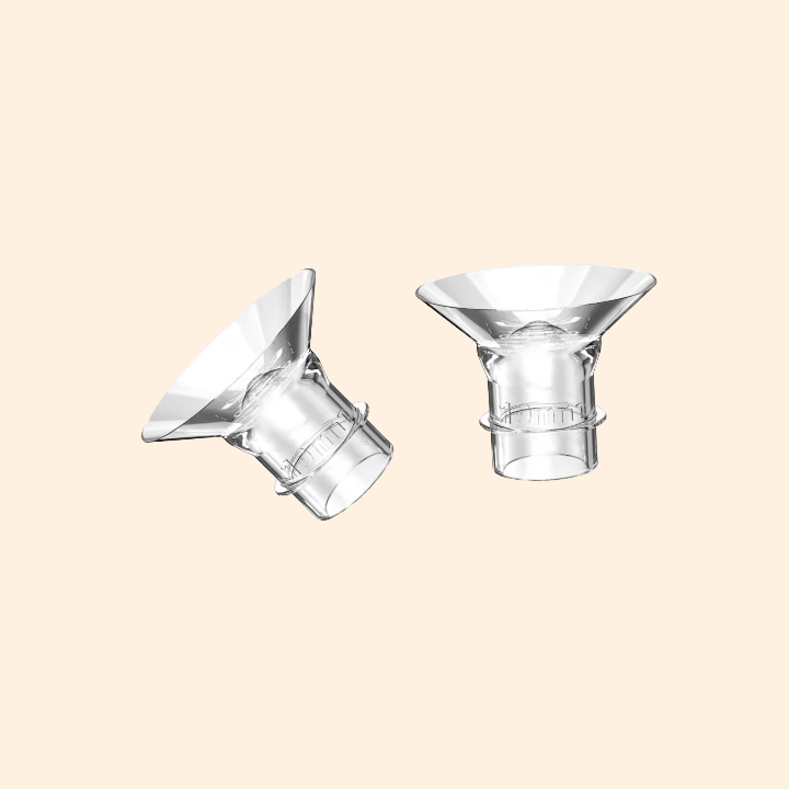 Flange x 2